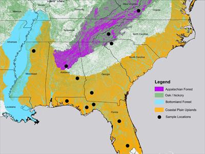 Litter Flammability of 50 Southeastern North American Tree Species: Evidence for Mesophication Gradients Across Multiple Ecosystems